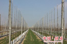 开云足彩app下载官网项目建设工作掠影