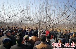 开云足彩app下载官网科协邀请苹果专家为果农培训