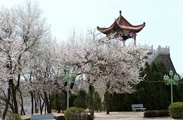 杏花丛中潜夫山